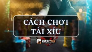 Cách chơi tài xỉu | 7 Quy luật & Kinh nghiệm chơi tài xỉu online